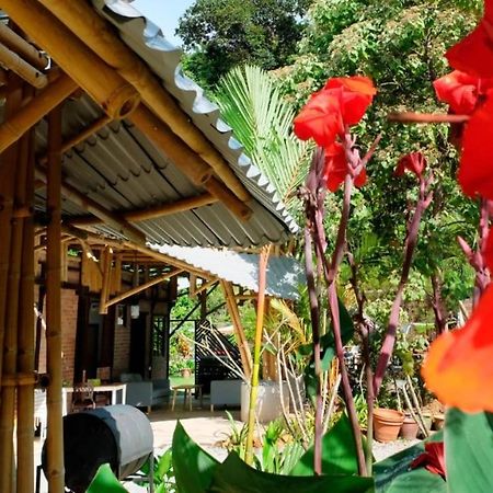 Bamboo Cottage Langkawi Пантай-Сенанг Экстерьер фото