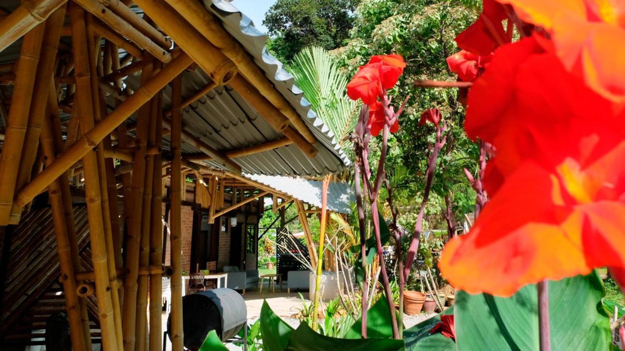 Bamboo Cottage Langkawi Пантай-Сенанг Экстерьер фото